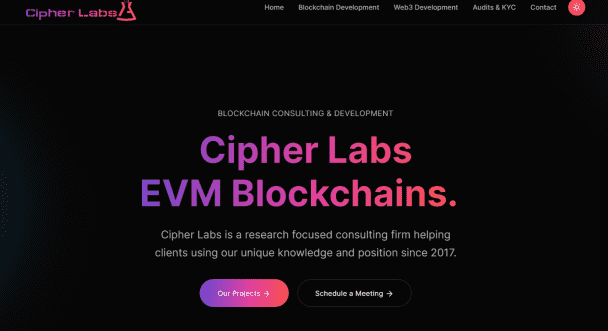 I will build your custom EVM Blockchain!!!