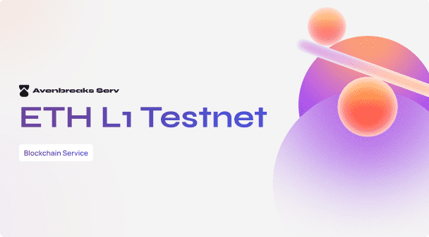 I Build Blockchain L1 Testnet EVM Based With Validators