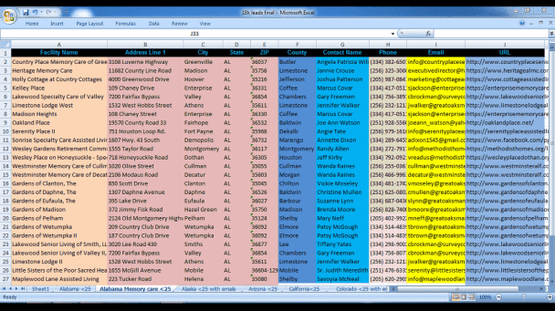 You will get professional excel dashboards, excel template, graph and chart