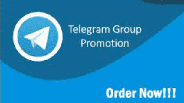 i will promote and add member to your telegram group