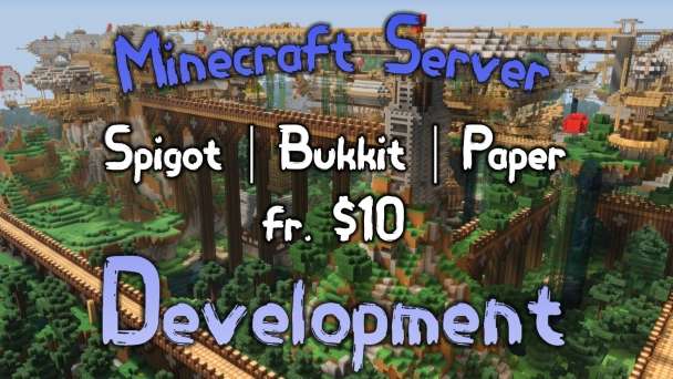 I will fully set up and acustom advanced minecraft server