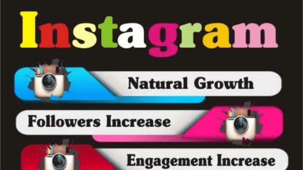 I will increase your Instagram organic growth, engagement and get you verified