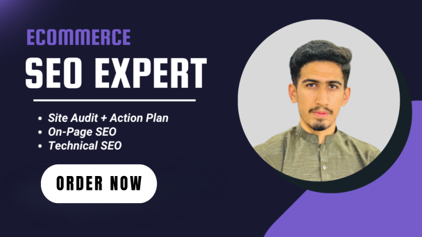 I will do onpage SEO with technical optimization for your website