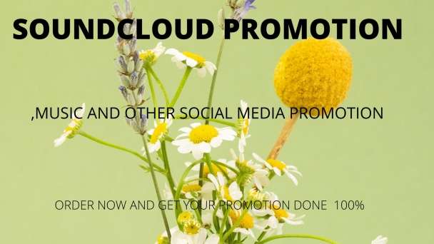 I will do soundcloud music promotion for all genres