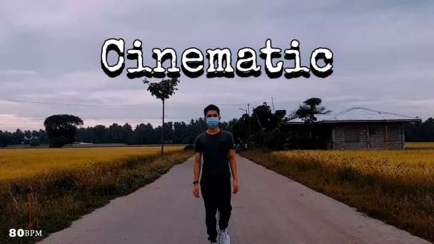 I will provide simple yet cinematic in your videos