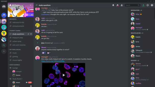 i will do madsive nft discord server promotion
