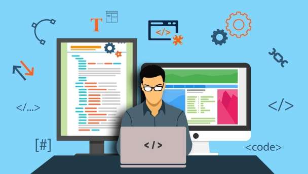 Software Developer