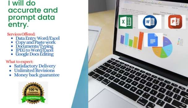 I will do prompt and accurate data entry