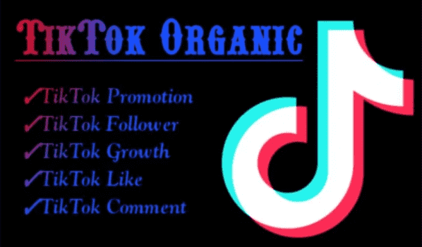 I will grow and promote your Tiktok account organically