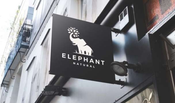 create a modern minimalist and luxury logo design