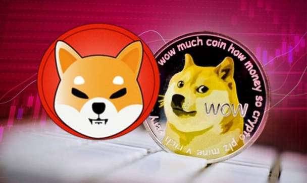 Crypto Token (like Doge or Shiba) Development