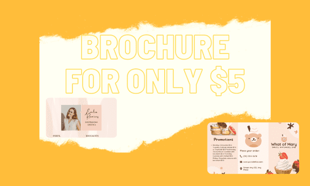 I will do a professional brochure design, trifold brochure