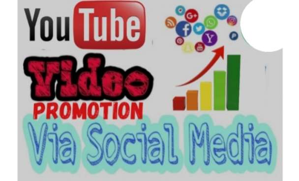 I will do organic youtube video promotion