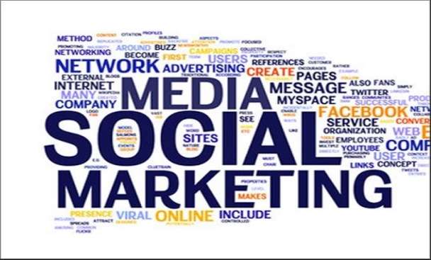 I will be your social media marketing manager and content creator