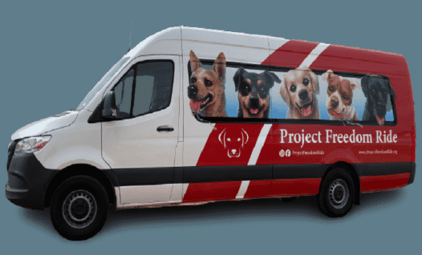 I will create your vehicle wrap