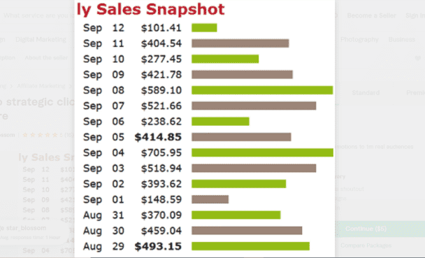 i will do strategic clickbank affiliate link promotion, digistore