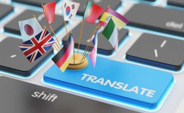 Professional Translator