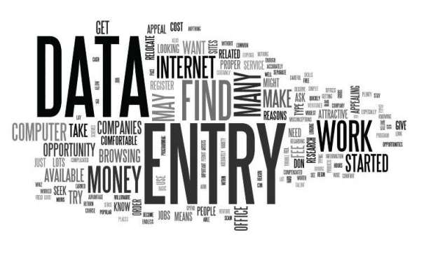 I will do data entry as soon as possible