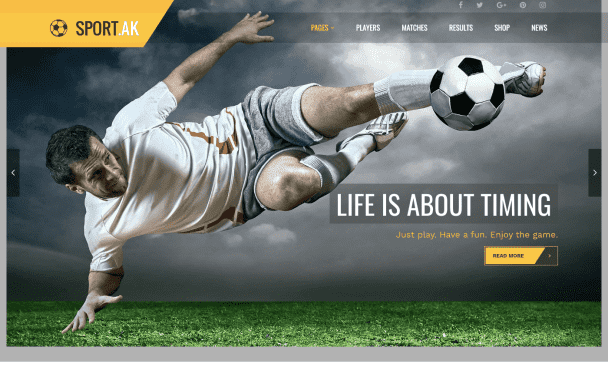 I will do professional sports website development,gym, yoga, sports, fitness,adventure
