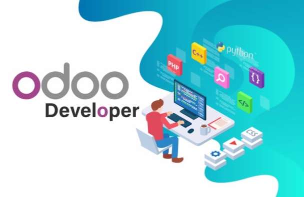 Odoo Developer