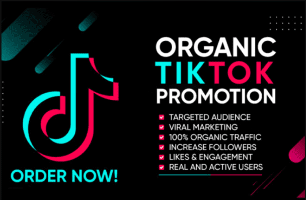 I will promote your TikTok to get Organic 5k followers