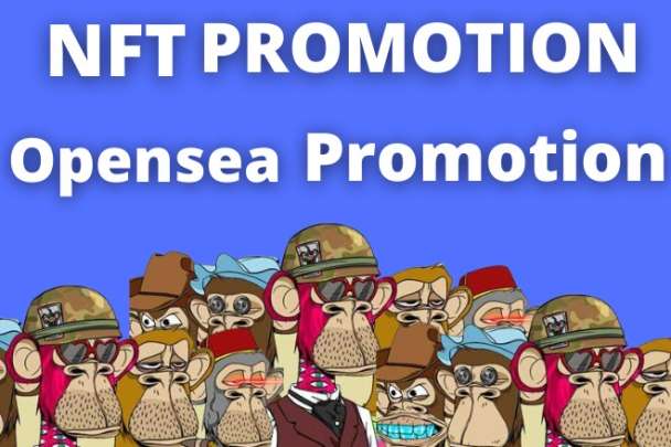 I will consult your nft project and provide actionable marketing strategy