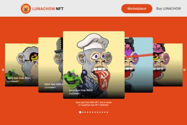 I will do nft minting website based on ethereum or solana