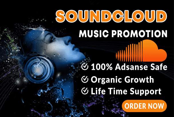 I will do organic spotify music promotion for you