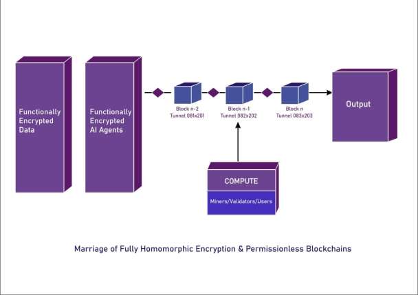 I will develop a DEX on multiple EVM-compliant blockchains as well as on Cardano and Polkadot.