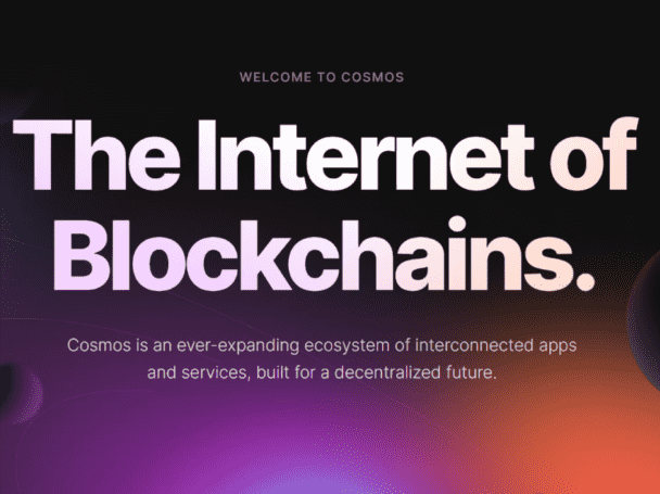 You will get a new Blockchain network created with Cosmos SDK