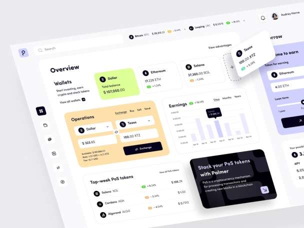 I will develop your web application