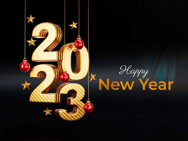 I will provide event celebration website with great animation.