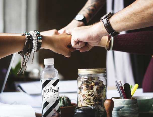 Startup business plan development