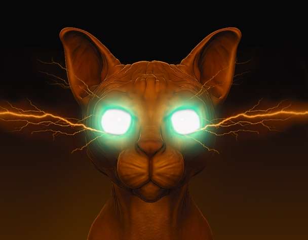 nft 3d model