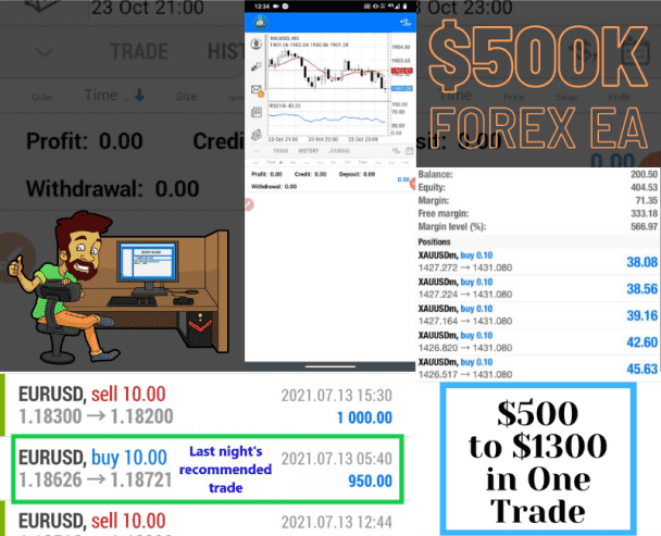 I will give you my Forex Bot a Forex EA for Forex Trading