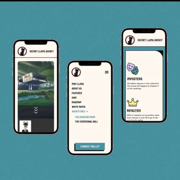 I will develop nft marketplace, Nfts minting website, Nfts