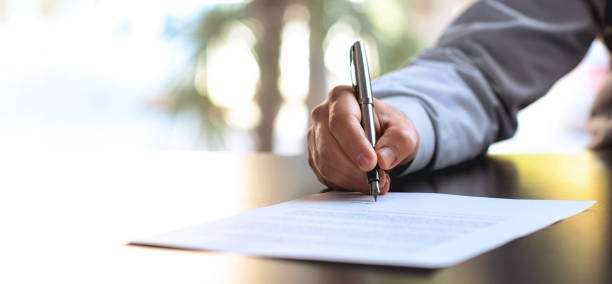 Article Writer