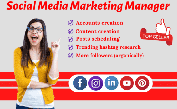 I will be your social media marketing manager image 1