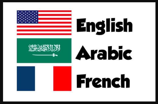 i will translate your documents in arabic french and english .