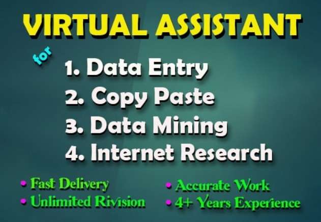 will be your virtual assistant for data entry, data mining, web research, copy paste