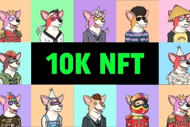 I will create character with traits for 10k nft collection