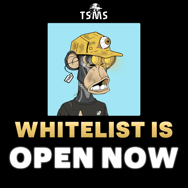 I will do nft discord whitelist in any discord server