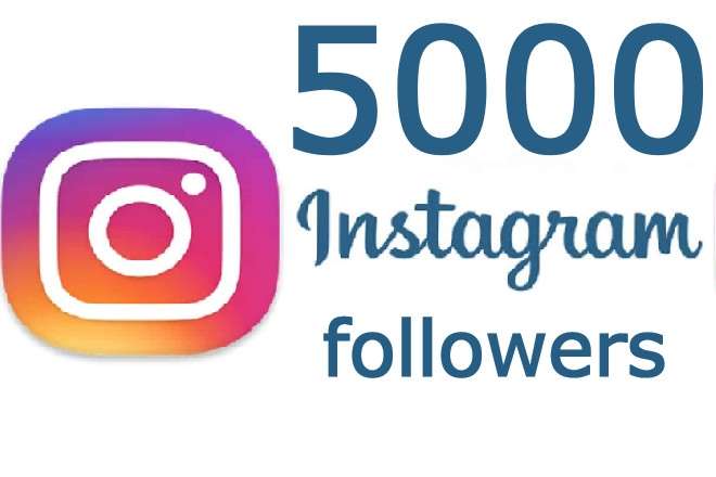 provide 5000 Instagram followers