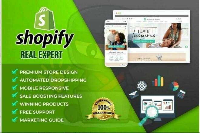I will setup profitable shopify website or shopify store design