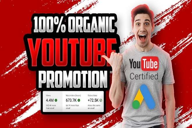 i will Do skyrocket youtube video promotion to make it viral and gain views