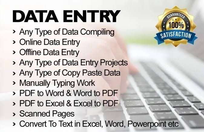 I will do typing job,copy paste data, scanned any documents.