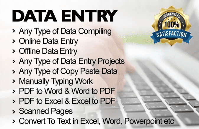 I will do any data entry works, pdf to word etc