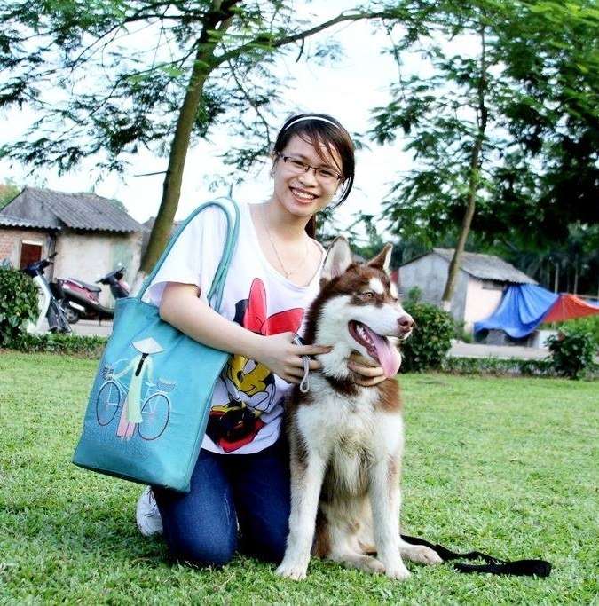 Professional translator English -Vietnamese