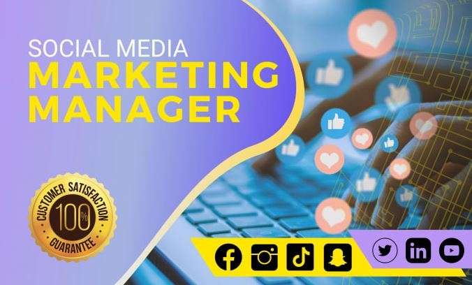 I will be your instagram manager and social media marketing manager