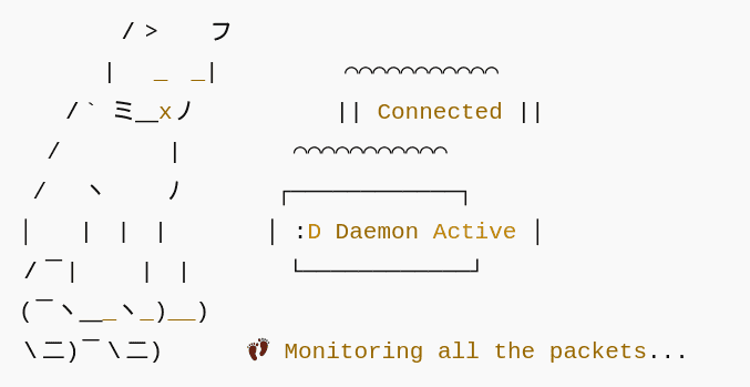 I will setup network service